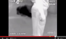 放屁搞笑视频,盘点那些放屁搞笑视频的欢乐瞬间